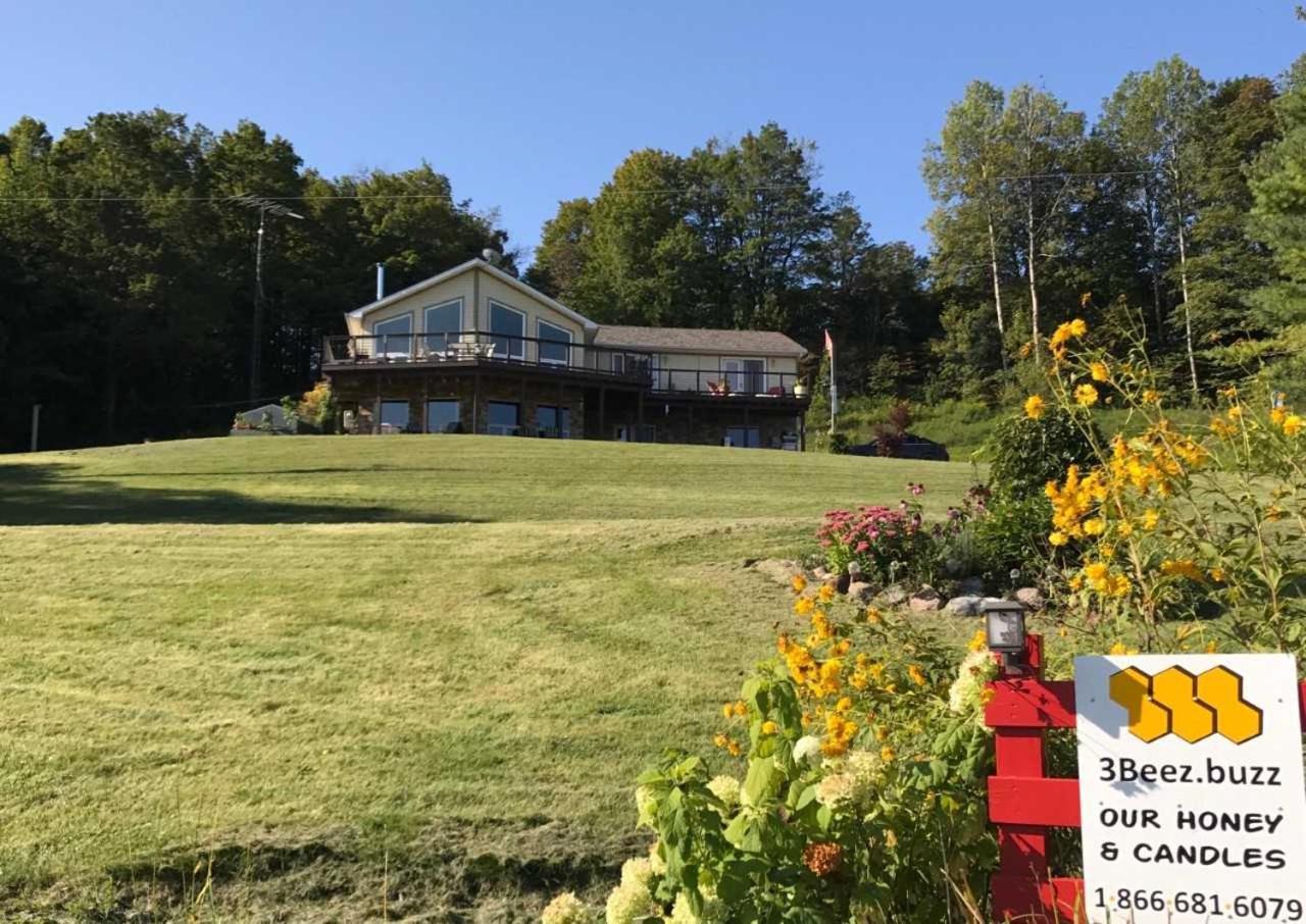 Our Valley View Bed & Breakfast Hampton Exterior photo